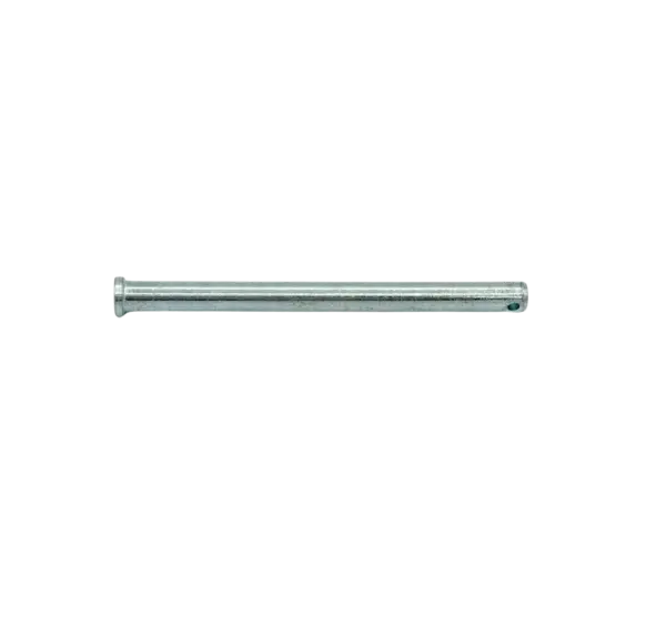 BP03
